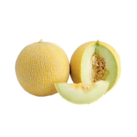 Melão Japones