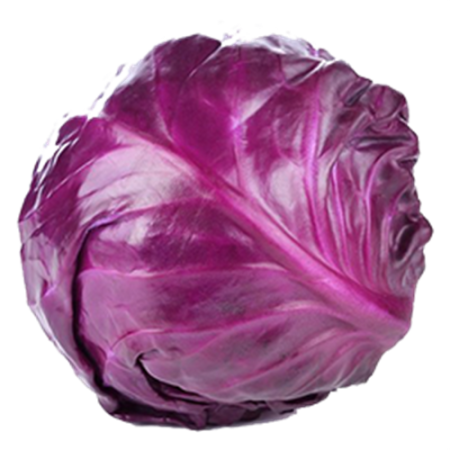 Repolho Roxo