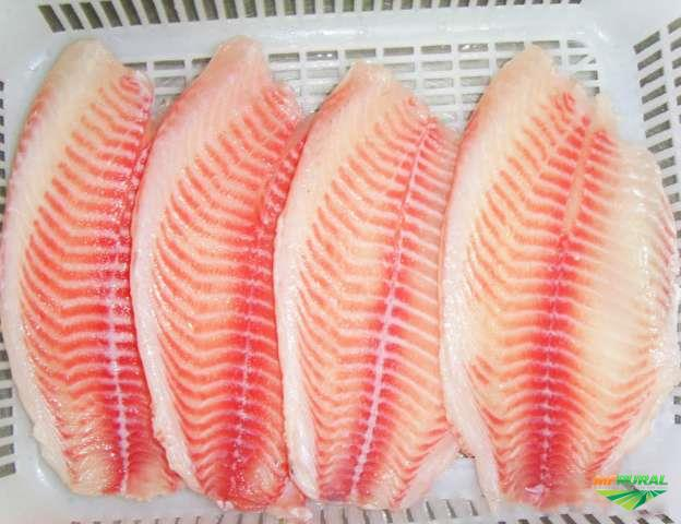 Filé de Tilápia 1 kilo